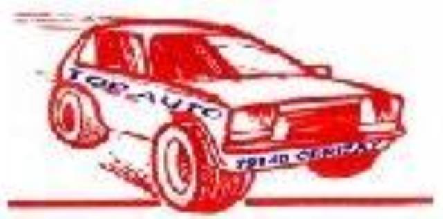 Logo TOP AUTO