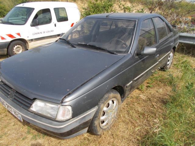 Peugeot 405 1991