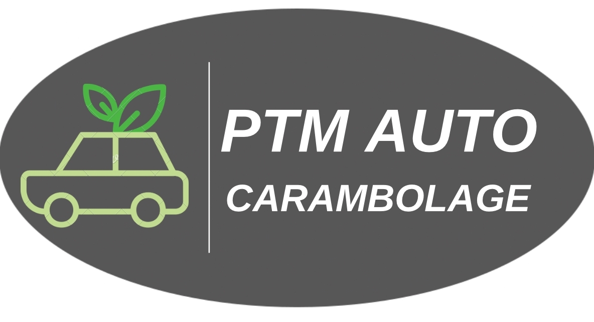 Logo PTM AUTO