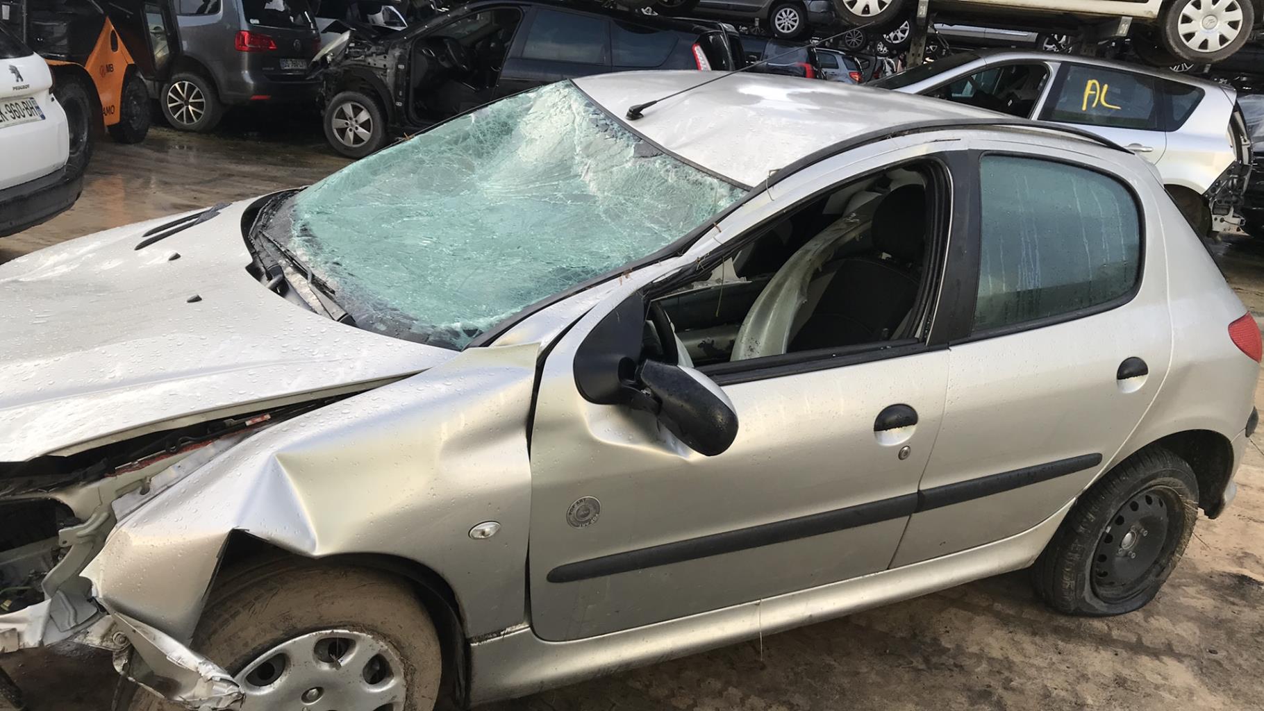 Image PEUGEOT 206