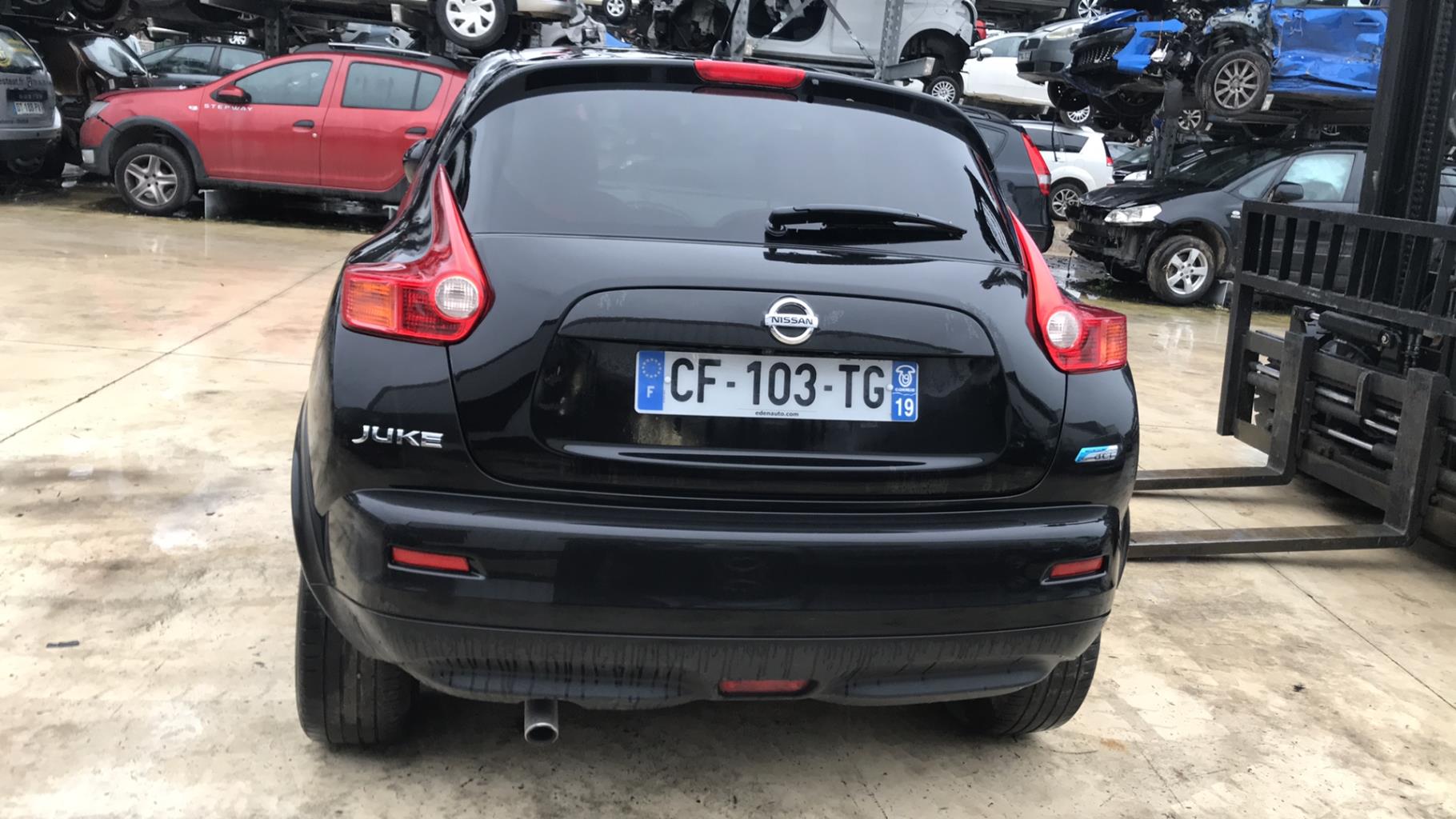 Image NISSAN JUKE 1