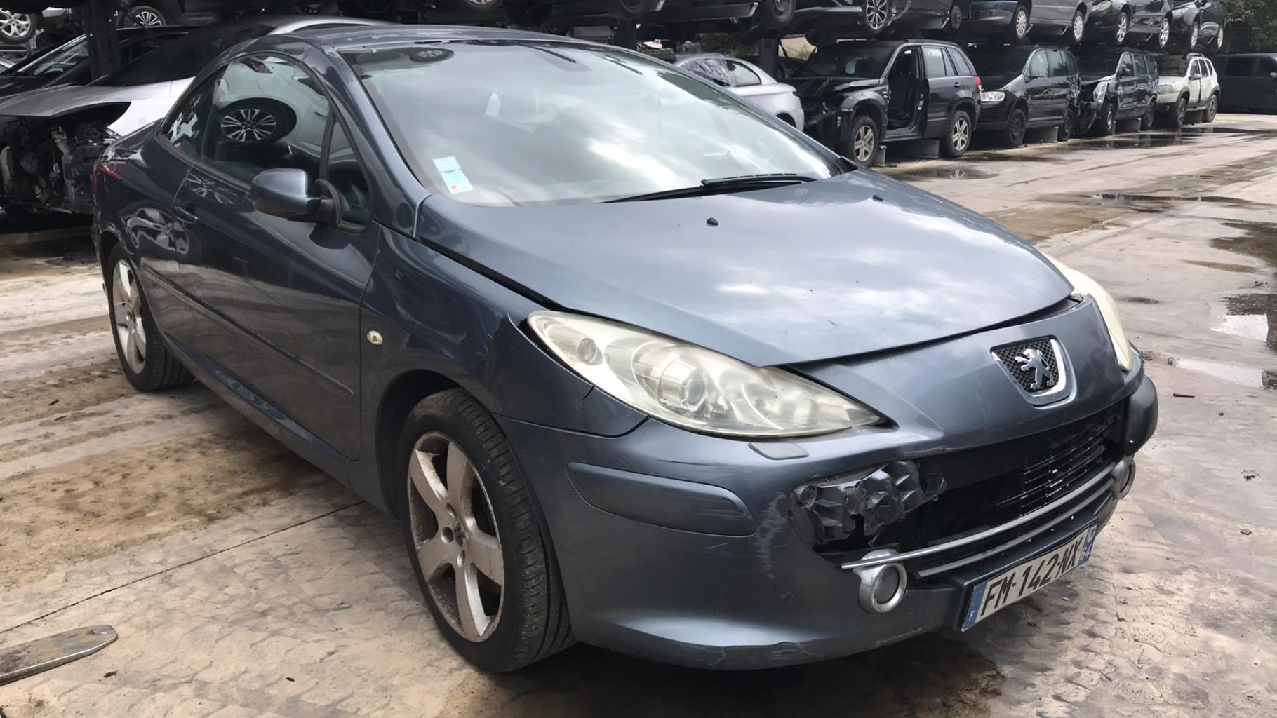 Image PEUGEOT 307