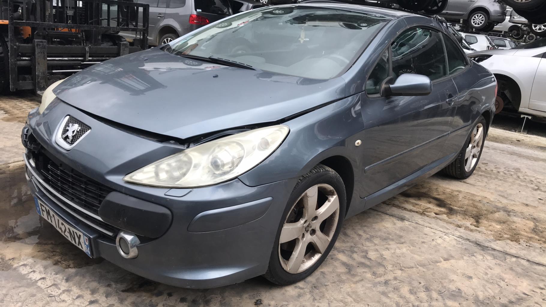 Image PEUGEOT 307