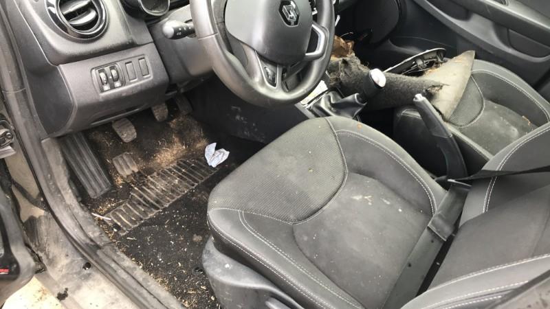 Image RENAULT CLIO 4