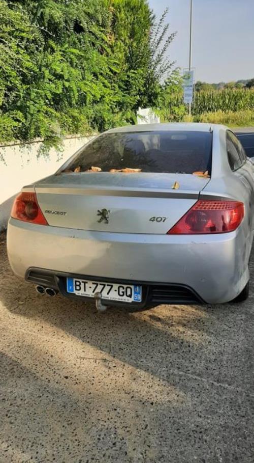 Pantalla PEUGEOT 407 COUPE Diésel ocasión