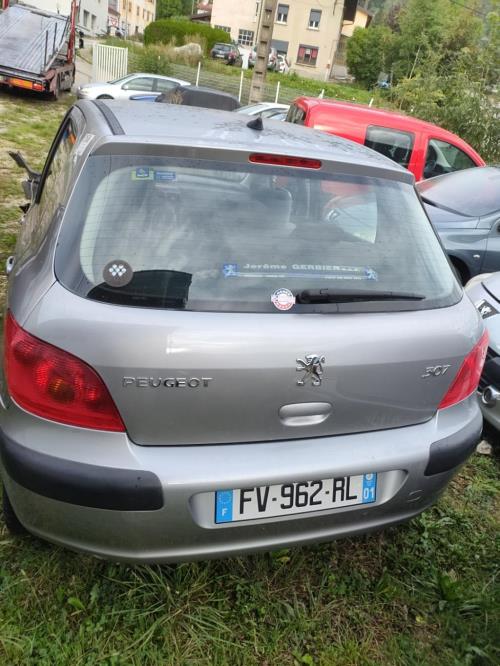 Platine feu arrière gauche peugeot 307 phase 1 en bon etat