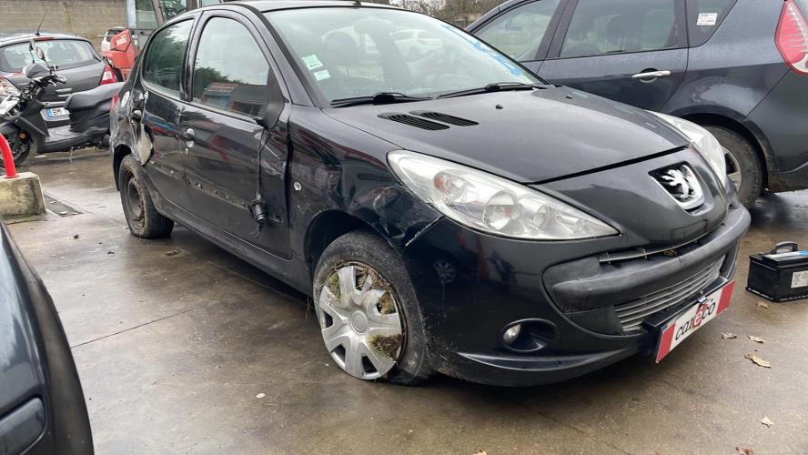 Image Cremaillere assistee - PEUGEOT 206+