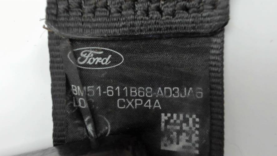 Image Ceinture arriere gauche - FORD FOCUS 3