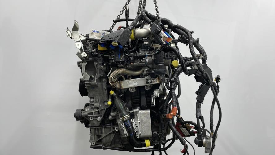 Image Moteur - RENAULT KOLEOS 2