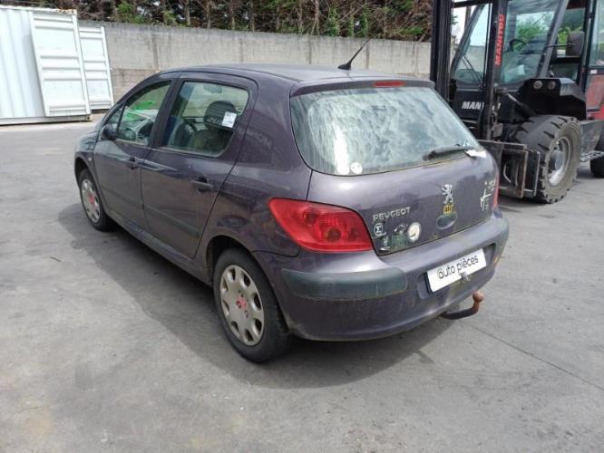 Image Poignee hayon - PEUGEOT 307