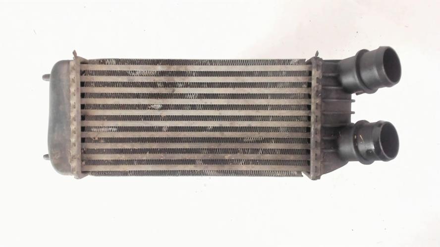 Image Echangeur air (Intercooler) - PEUGEOT EXPERT 2