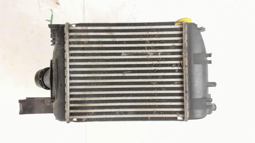 Image Echangeur air (Intercooler) - DACIA DUSTER 1