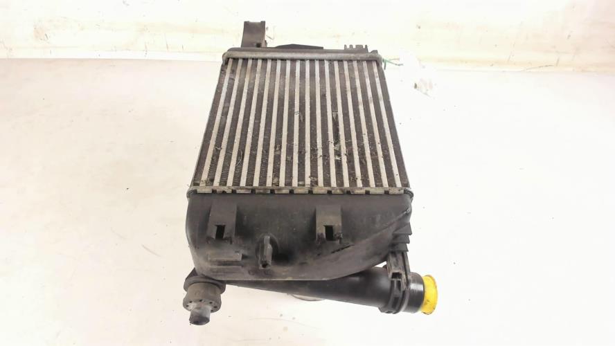 Image Echangeur air (Intercooler) - DACIA DUSTER 1