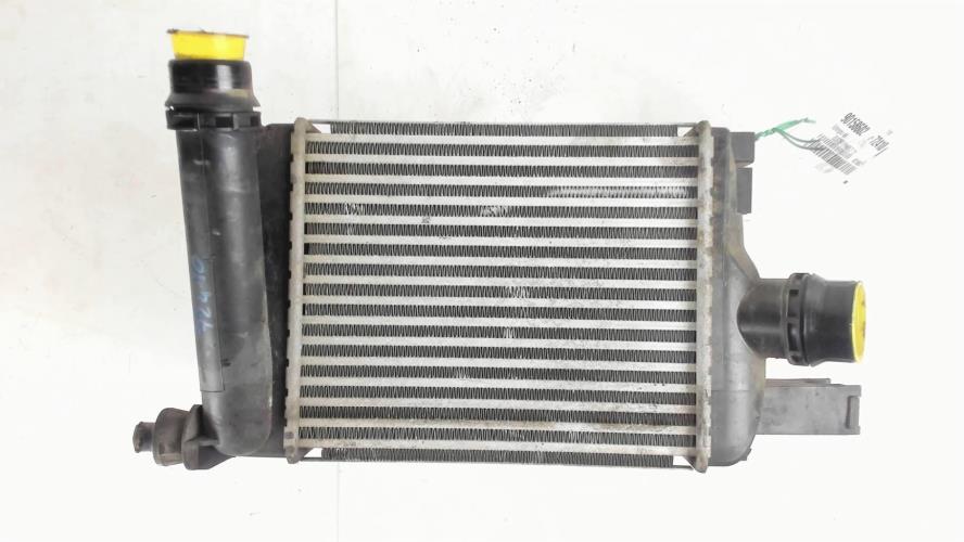 Image Echangeur air (Intercooler) - DACIA DUSTER 1