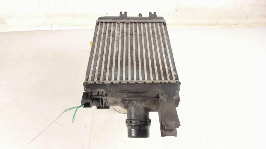 Image Echangeur air (Intercooler) - DACIA DUSTER 1