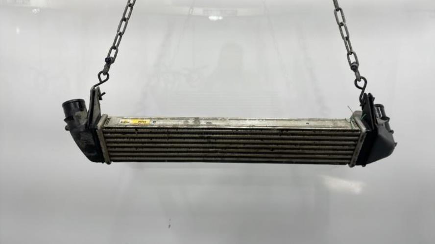 Image Echangeur air (Intercooler) - DACIA DUSTER 1