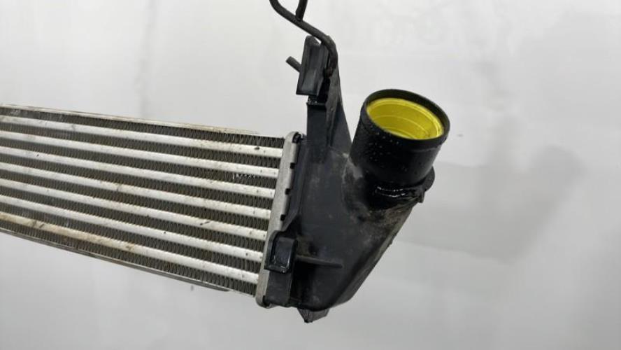 Image Echangeur air (Intercooler) - DACIA DUSTER 1